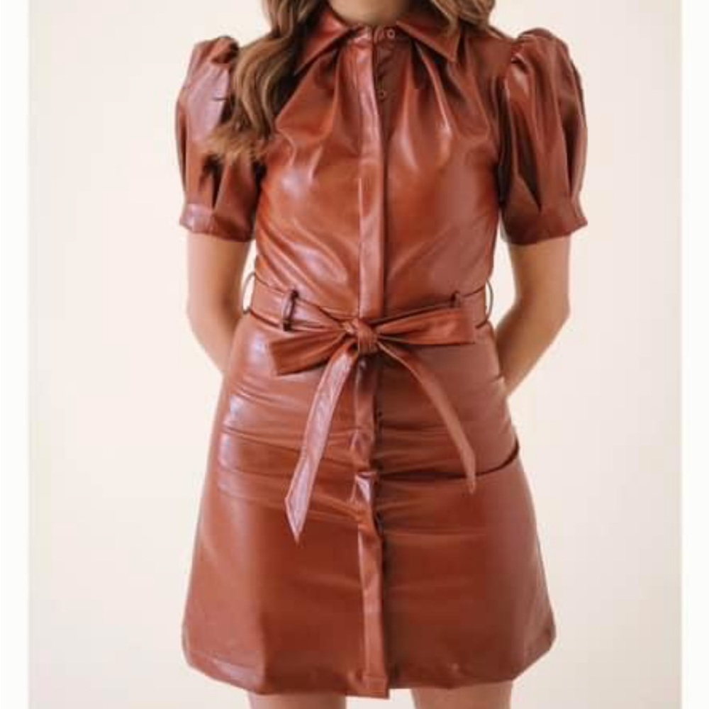 Nwt. Aureum Large Brown Vegan Leather Dress.